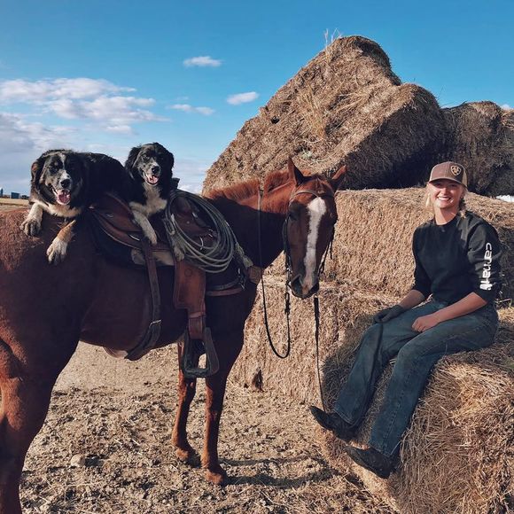 Meet your Posher, Alison - Picture 1 of 1